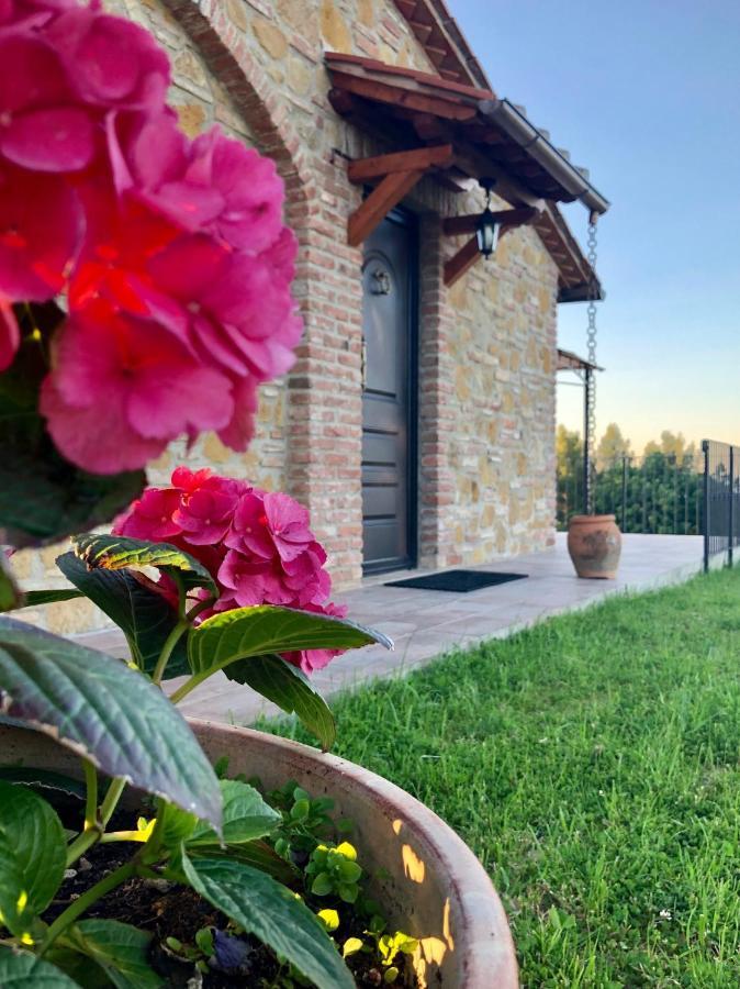 Agriturismo I Colli Монтайоне Екстер'єр фото